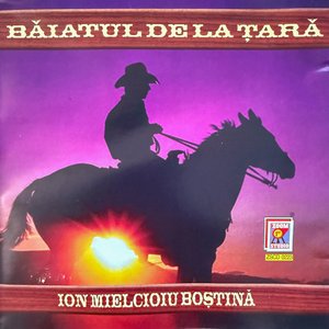 Băiatul de la țară