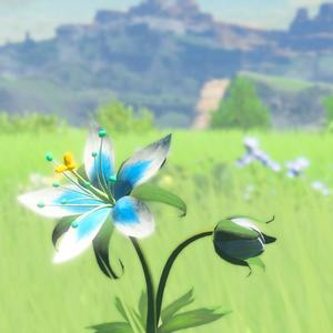 HIRUNO HOSHI（Cover illion）