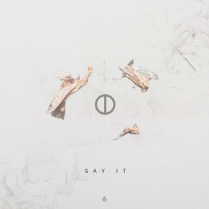 Say It