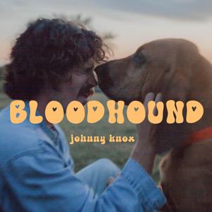 Bloodhound