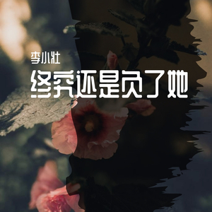 音萌萌-终究还是负了她（李小壮 remix）