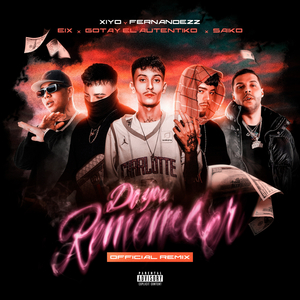 Do You Remember (Remix)