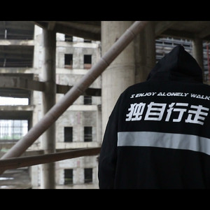 2018.11.15(独自行走)