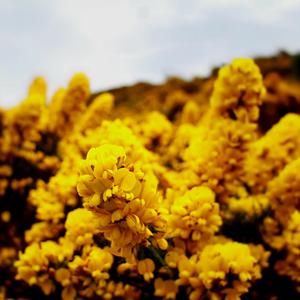 Orestes (feat. Daniel Páramo)