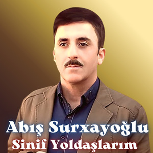 Sinif Yoldaşlarım