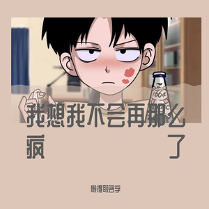 我想我不会再那么疯了