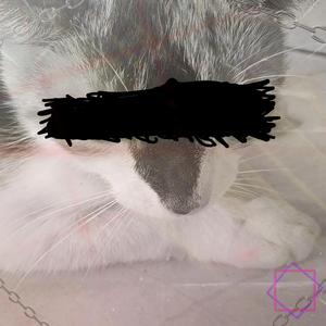 TUA BARRIGA E INFLADA