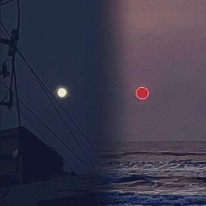 和你在海边谈天说地从日落到清晨 带着宿醉的我成为风中的云