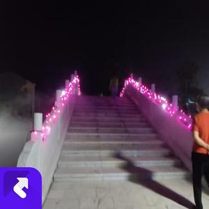 电话亭长出藤蔓 (现场)