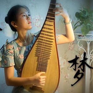 【琵琶】故梦