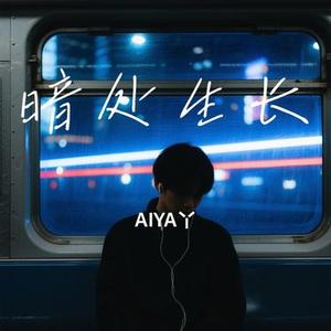 暗处生长