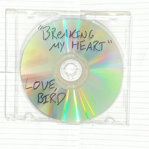 Breaking My Heart