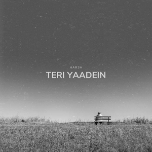 Teri Yaadein