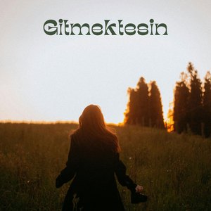 Gitmektesin