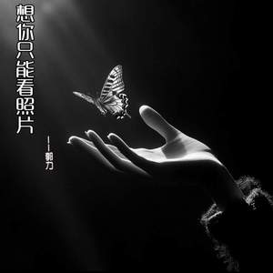 想你只能看照片