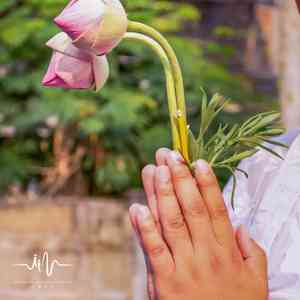 琵琶琴声 (抛开杂念)