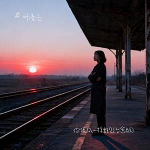 你像风一样出现