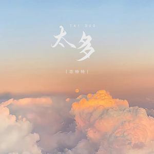 太多 (DJ版伴奏)