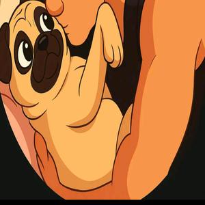 Curva Sud Padova Alé