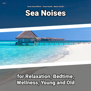 Ocean Noises Sound Effect to Study To