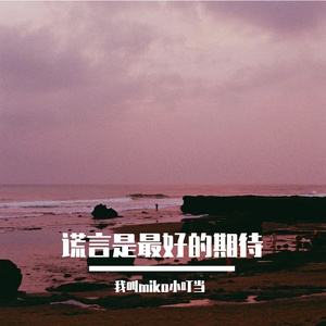 谎言是最好的期待