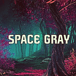 Space Gray