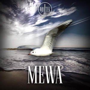 Mewa