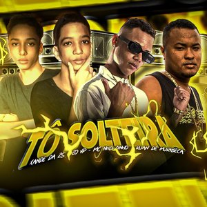 Tô Solteira (feat. Mc Niielzinho)