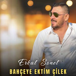 Bahçeye Ektim Çilek