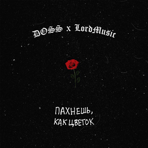 Пахнешь, как цветок