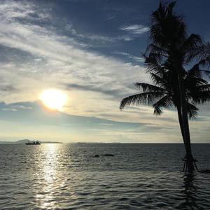 ZIVERT-Life（A remix）