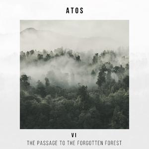 The Passage to the Forgotten Forest