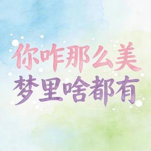 你咋那么美 (DJ涵涵版)