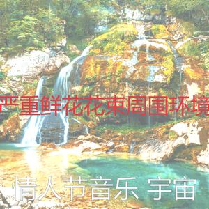 精彩浪漫的晚餐环境