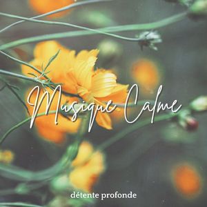 Musique calme