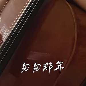 王菲-匆匆那年（Daisy Lau remix）