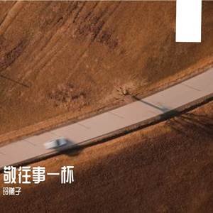 曾经痴情爱过你