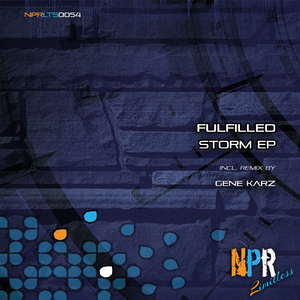 Storm (Gene Karz Remix)