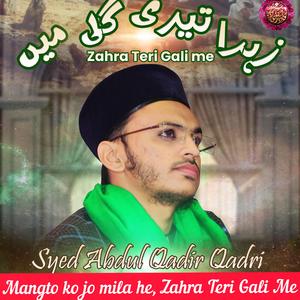 Mangto ko jo mila he zahra teri gali me