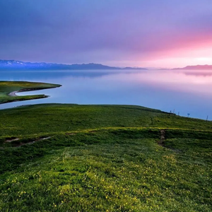 黑暗中寻梦的光焰