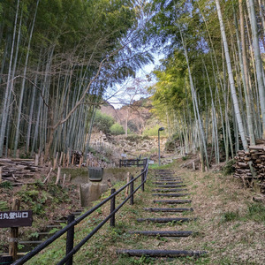 この世界を生き抜くためには続けよう TYPE B