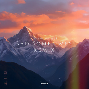Alan Walker-Sad Sometimes（Bootleg）