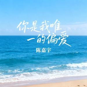 你是我唯一的偏爱