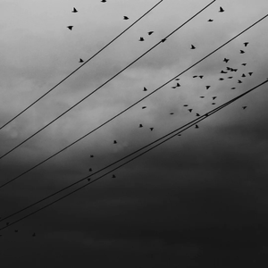 en - 嚣张 (SMGP Remix)