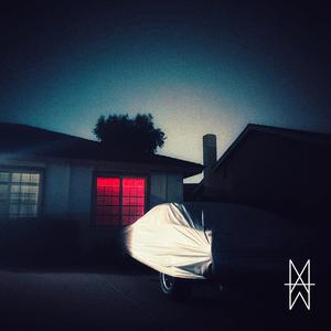 Field Of Red Poppies