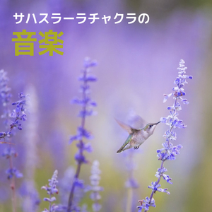 尺八フルート（アジアの歌）