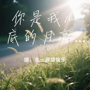 你是我心底的月亮 (越想藏起 越在黑夜发光)