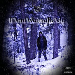 IDontWannaBeMe