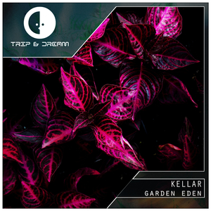 Garden (Original Mix)