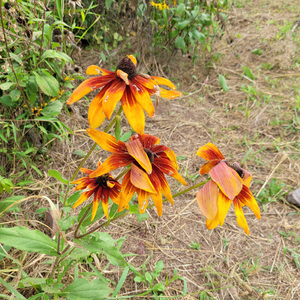 무중력 (feat. Blueday)